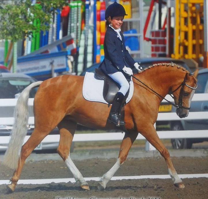 2GallopOfficial's tweet photo. Any young riders out there wish to feature in our blog? Get in touch! https://t.co/2voKskvDto tara@2gallop.co.uk https://t.co/l1BfTXQ9Mo