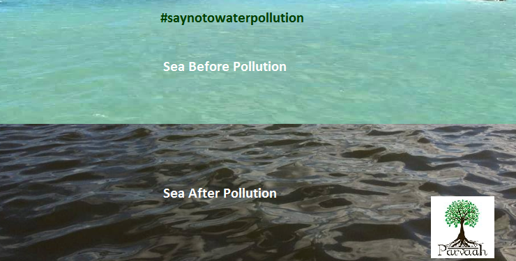 Parvaah's tweet photo. Millions of sea mammals &amp; seabirds die of eating plastic debris each year. #Saynotowaterpollution @UNEP @BillGates https://t.co/nf6wELtovD