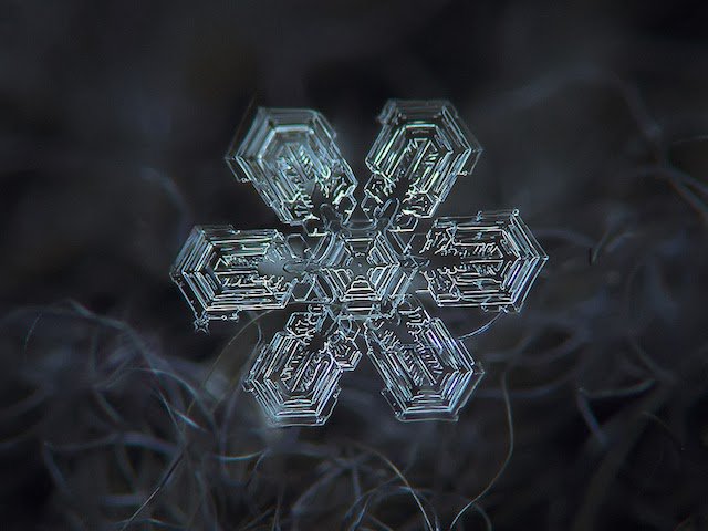 CSIC's tweet photo. El hielo convertido en obra de arte. Estas macrofotografías de copos de nieve han sido captadas por Alexey Kljatov https://t.co/C7k75dz7lc