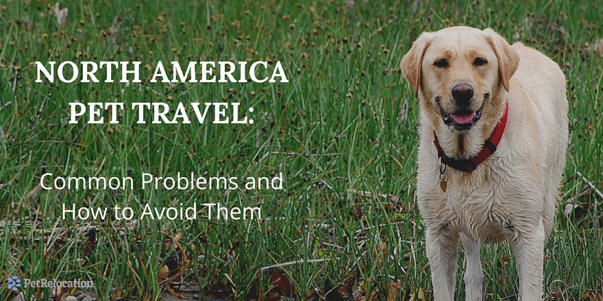 North America Pet Travel: Common Obstacles and How to Overcome Them petrelocation.com/blog/top-pet-t…