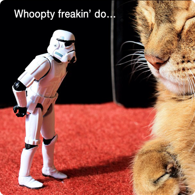 CauseofTheWeek tweet picture