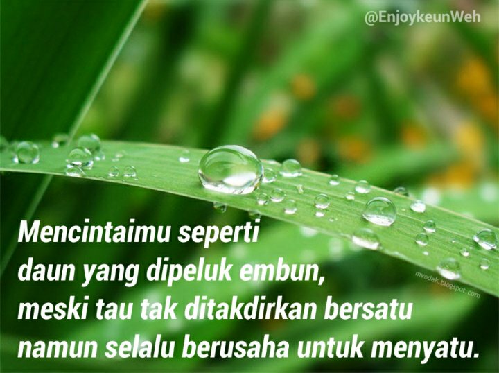 EnjoykeunWeh's tweet photo. #Pict_quotes #Enjoykeun https://t.co/NQPpAPRuNL