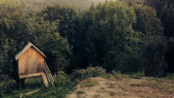 Tiny Homes Canada tweet media