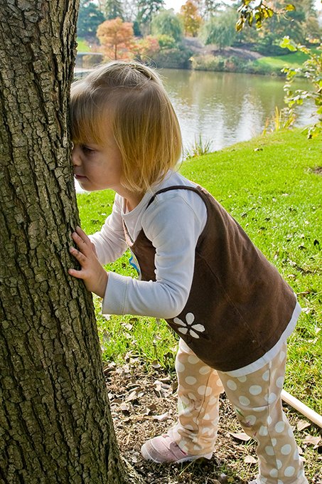 chicagobotanic's tweet photo. Discover what #NaturePreschool is about Jan 14. Register for our open house today. https://t.co/T3hZcfOAM7 https://t.co/FfCzbI3ThG