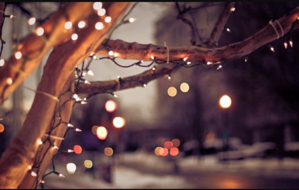 Jprz1321's tweet photo. I love the Christmas period 😍 🎄🎁 https://t.co/rS0MJ19zS8