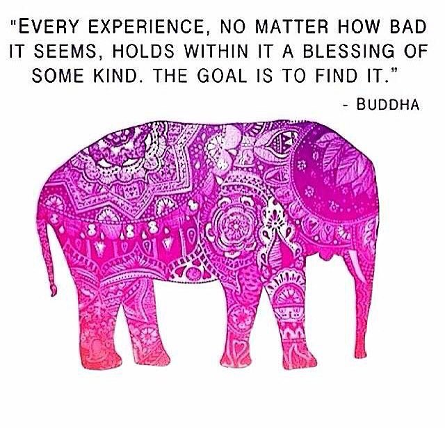 dilruba_lees's tweet image. @rpskataria @1961Et @PrincessBibiRF_ @Asian_Poetry @DavidKWilliams @trcas @MarionSpekker @Soniagrolla @shaek066