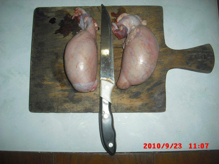 nangrub's tweet photo. menurutku ini baru #FoodPorn yang sesungguhnya
#Testikel #kambing #Food #Porn #FoodPorn #DokterBoyke https://t.co/KaN58TjPXY