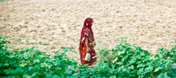 Article: #Sanitation related stress among women in #India bit.ly/21U5BrF  <a href="/SHAREresearch/">SHARE Consortium</a> @WatSanCollabCou