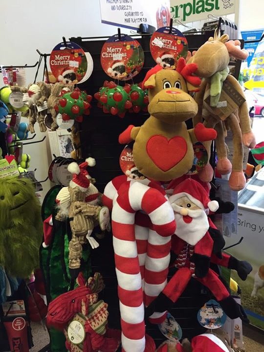BidStAndrews's tweet photo. Give your pet a Merry Christmas at #StAndrews Pet Shop on #SouthSt https://t.co/G2piIgTtuj #ItsReigningCatsAndDogs! https://t.co/AmXZvaMlJa