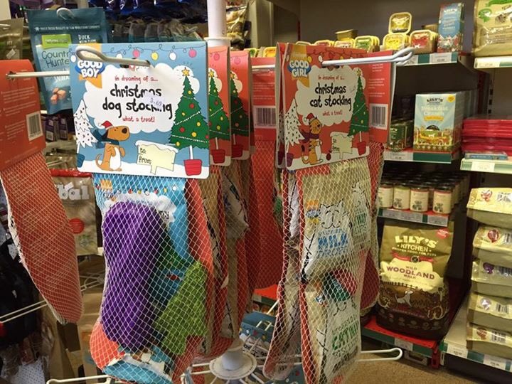 BidStAndrews's tweet photo. Give your pet a Merry Christmas at #StAndrews Pet Shop on #SouthSt https://t.co/G2piIgTtuj #ItsReigningCatsAndDogs! https://t.co/AmXZvaMlJa