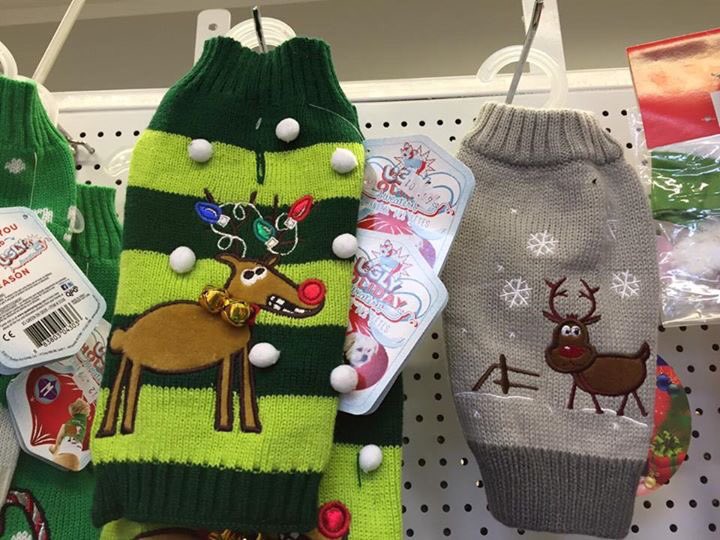 BidStAndrews's tweet photo. Give your pet a Merry Christmas at #StAndrews Pet Shop on #SouthSt https://t.co/G2piIgTtuj #ItsReigningCatsAndDogs! https://t.co/AmXZvaMlJa