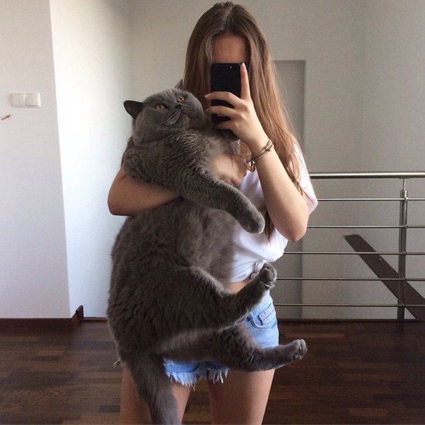 Arinchik17's tweet photo. ПОМОГИТЕ ОТКОРМИТЬ МОЕГО КОТА,ХОЧУ ПЛЮШКУУ !!!!!!!!!!!!!!!!!!!!!!!!!!!!!!!!!!!!!!!!!!!!!!!!!!!!! https://t.co/JbRDdurrQj
