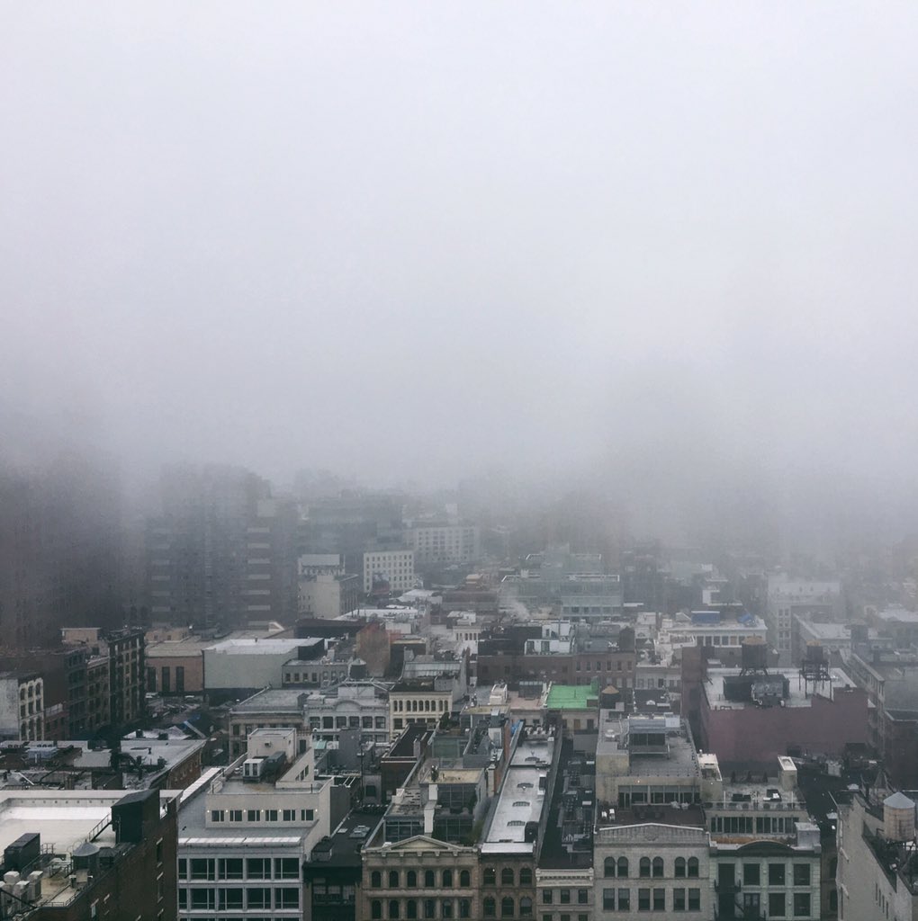 heyclaire's tweet photo. It's a gloomy day 14 of #heyclairemas! How do you brighten your morning? https://t.co/PwY3urlTFY