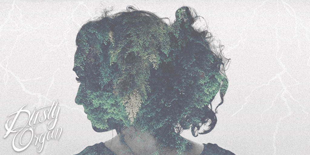 PigeonRow's tweet photo. .@Rainoverband makes @DustyOrgan's top 50 of 2015: https://t.co/zh1OPKhmQY https://t.co/EZx05FL7Nz