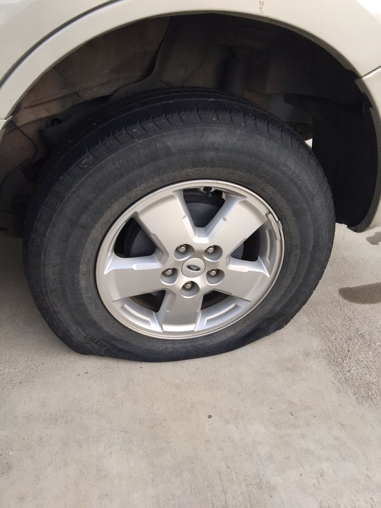 smharborth's tweet photo. THE ONE THING I HATE MOST IN THE WORLD #happymonday #strandedathome https://t.co/G8OZktCCSR