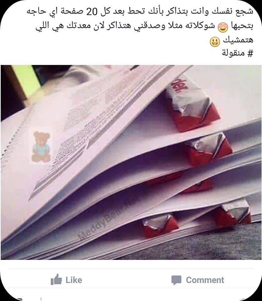 Turquoisedust_'s tweet photo. *بتحط سندوتش شاورمة بعد كل صفحتين* https://t.co/BDWLFPxqAs