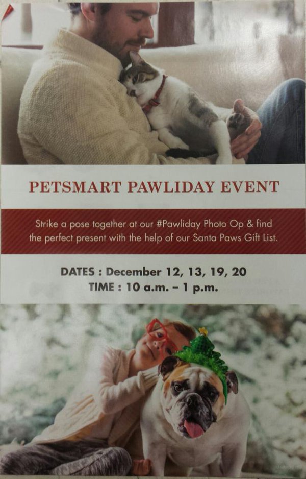 PetSmart 637 tweet media