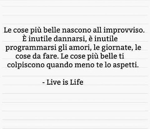 DanielaFini's tweet image. 