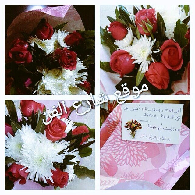 lebnanmaro's tweet photo. شكرا ليث ابو جودة عالورد سهيلة بتستاهل كل الخير وانت طيب ومحترم وذوق @LaithAbuJoda  #SouhailaBenLachhab # https://t.co/kdAav7o1Nm