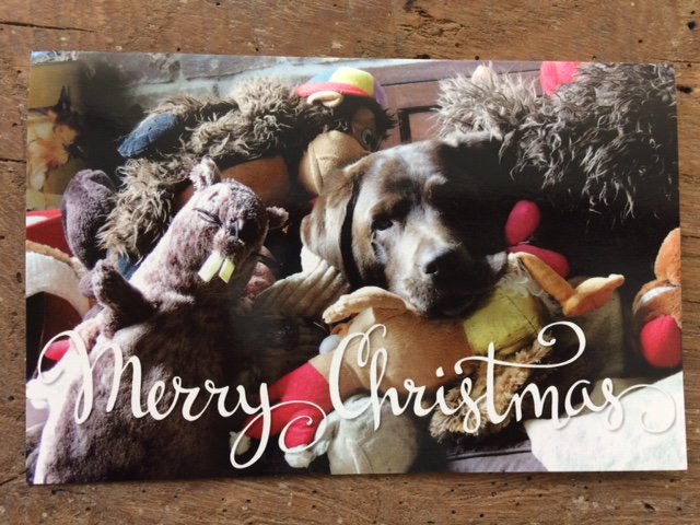 Another fab Christmas card, from Mags with all her toys