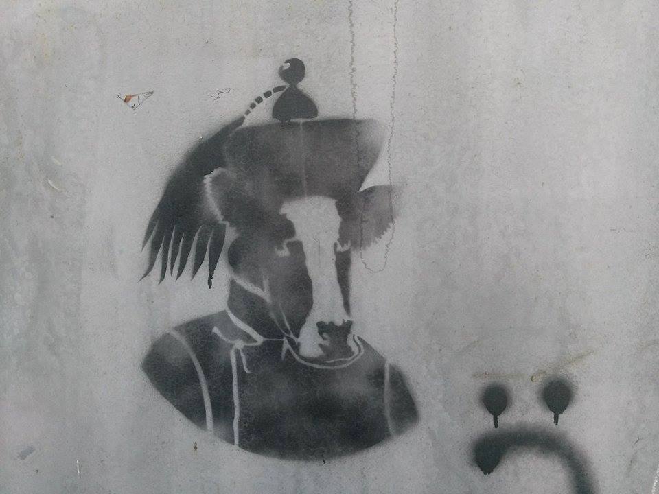 Эрдэнэ дайчин Хошой Чин ван Ханддоржийн өргөө рүү явж байхад ийм зураг тааралдав. Хашаан дээр байсан.