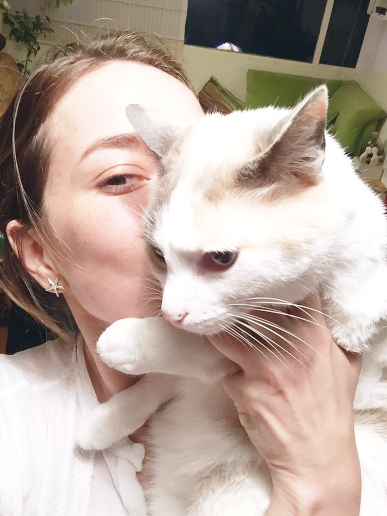 mariadalmazzo's tweet image. Campañas como esta valen mucho la pena @CatChowCo ❤️❤️❤️#YoEstoyAyudanCAT ¿Te unes @SylvanaGomez?