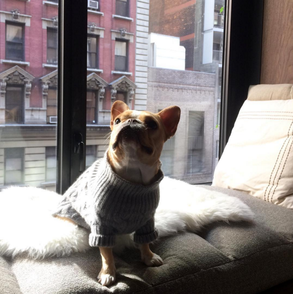 1 Hotel Central Park tweet media