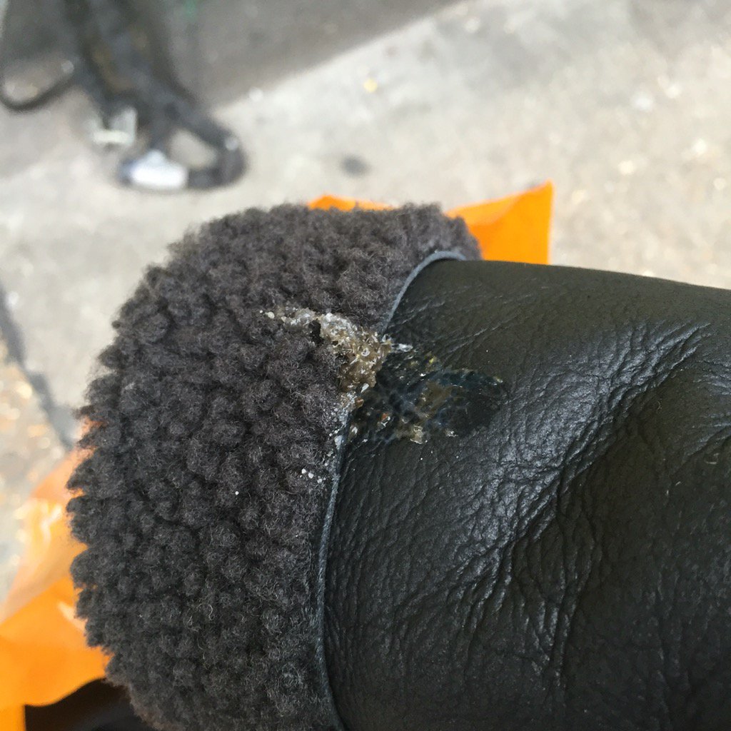 SarahAnnMacklin's tweet image. Great - I guess this is good luck? #birdpoo isn't bloody luck it's gross