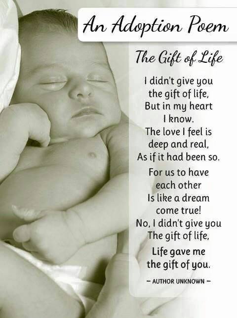fladoptionlaw's tweet photo. Poem of the week
https://t.co/hSazvrM0Ez

#poem #poetry #adoption #Sarasota #Florida https://t.co/7QGd2bRDji