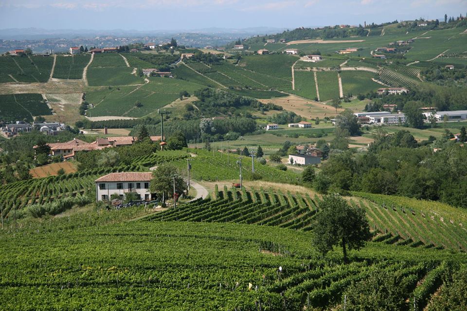 Check out our concise introduction to Barbera, Northern Italy's most drinkable grape type: on.fb.me/1OrODXL