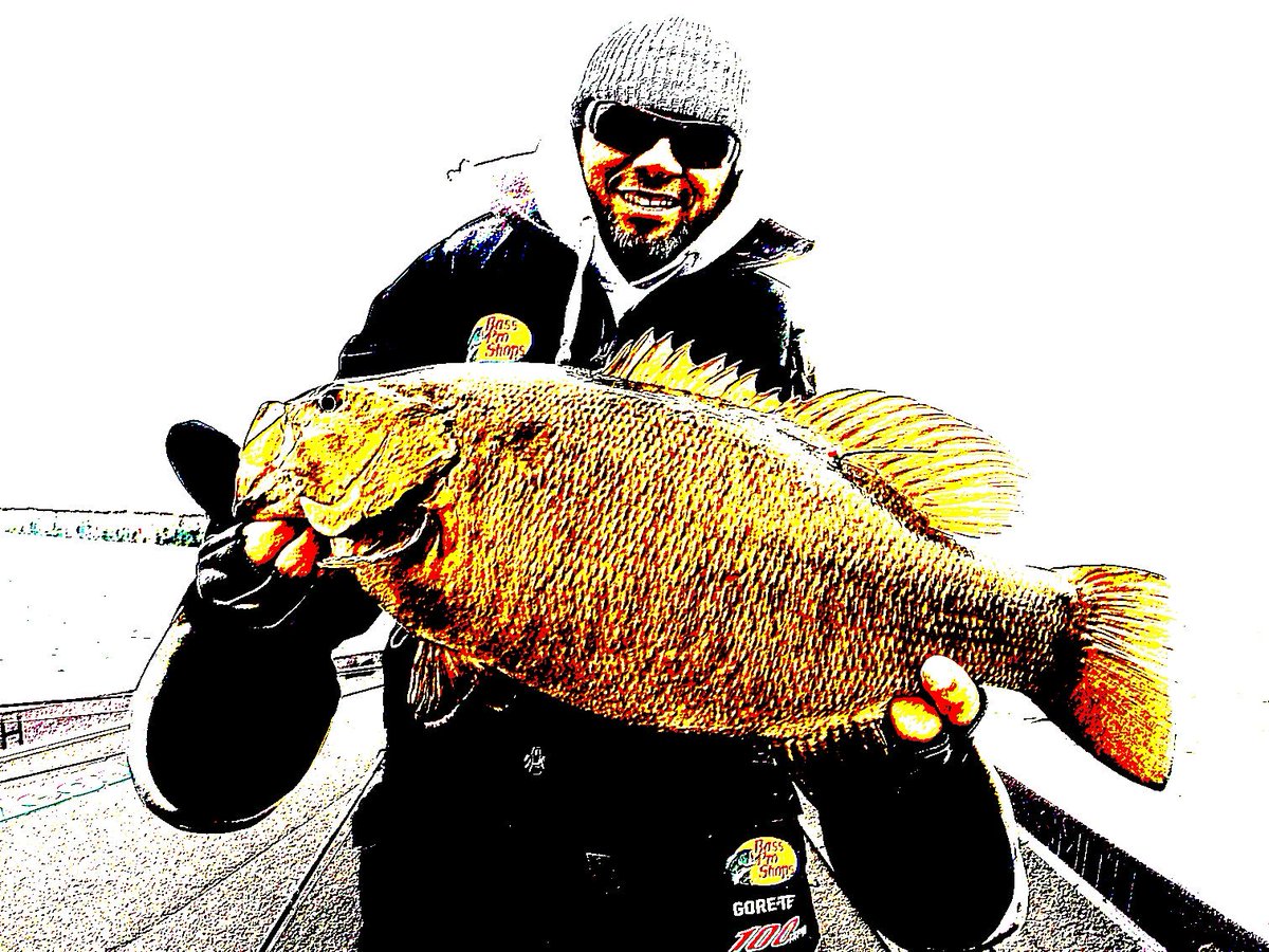 cousvis's tweet image. Playing with some Fat Smallmouths this Fall! @MegabassUSA  @legendboatsltd #catchandrelease #bassfishing