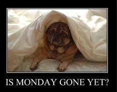 trafficscotland's tweet photo. Hello all 😃 G with you this afternoon so here if you need me! #Fog an issue on #M8 J3 to J6 &amp; #M77 J4 to J8 #BeSafe https://t.co/8mOVBkHD1g