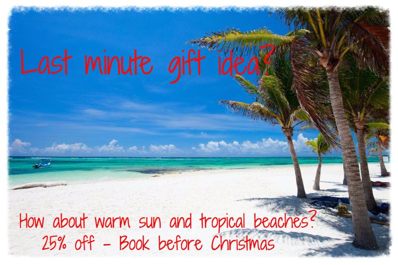 AkumalDirect's tweet photo. Last min Christmas gift ideas from @AkumalDirect https://t.co/DrFkTrDq06 https://t.co/4oK1GIJSzg