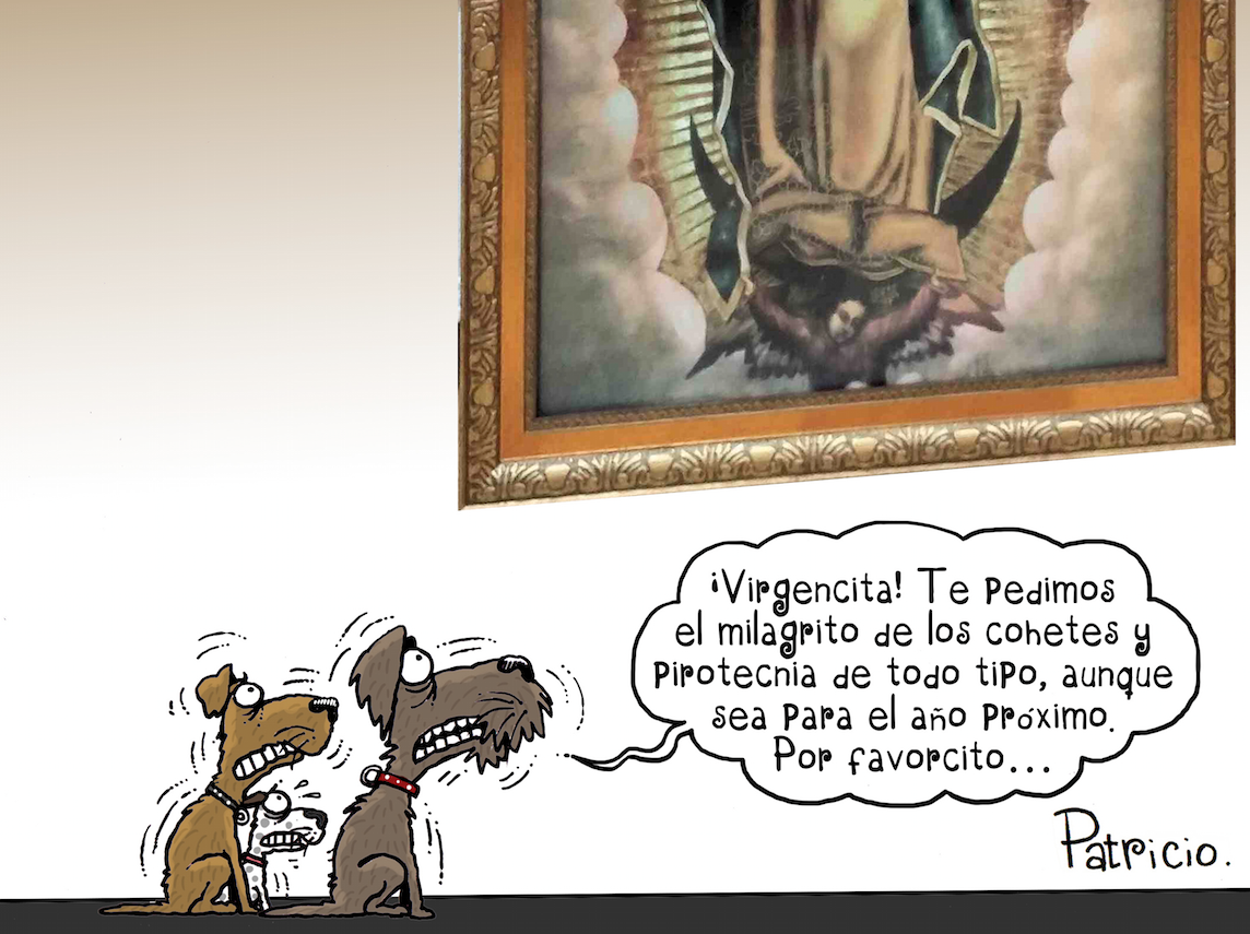 EditoraJalisco's tweet photo. ¡Buenas tardes!
Les compartimos el #cartón de @Patriciomonero para hoy en @jornadajalisco

"Por favorcito" https://t.co/TiR6OZeF5C