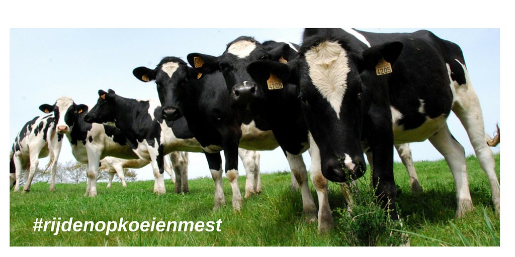 cngnet's tweet photo. Rijden op #koeienmest: goed voor het klimaat! #groengas #aardgas #klimaatakkoord https://t.co/8RjRAEDeFh https://t.co/wYZE75jjPm
