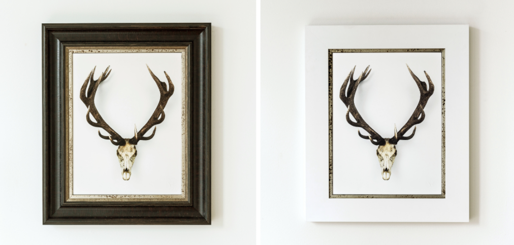 dimensionscf's tweet image. #AnnaChurch's #OHDEER limited edition print 17"x 22" 
#art #riversideTO #artists #artgalleries #customframing