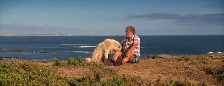 everysingletim3's tweet photo. Meet The Dogs That Save Penguins From Predators 
https://t.co/ZhyReO6xus https://t.co/TUdiKnQy48