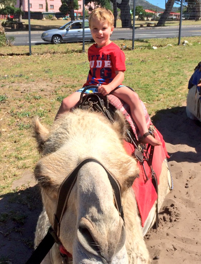mrsngood's tweet photo. #CamelRideToday #WhatAKiffDay #ImhoffFarm @ImhoffFarm @simonjgood #HighlyRecommend @sesyjane https://t.co/tsQatUeDju