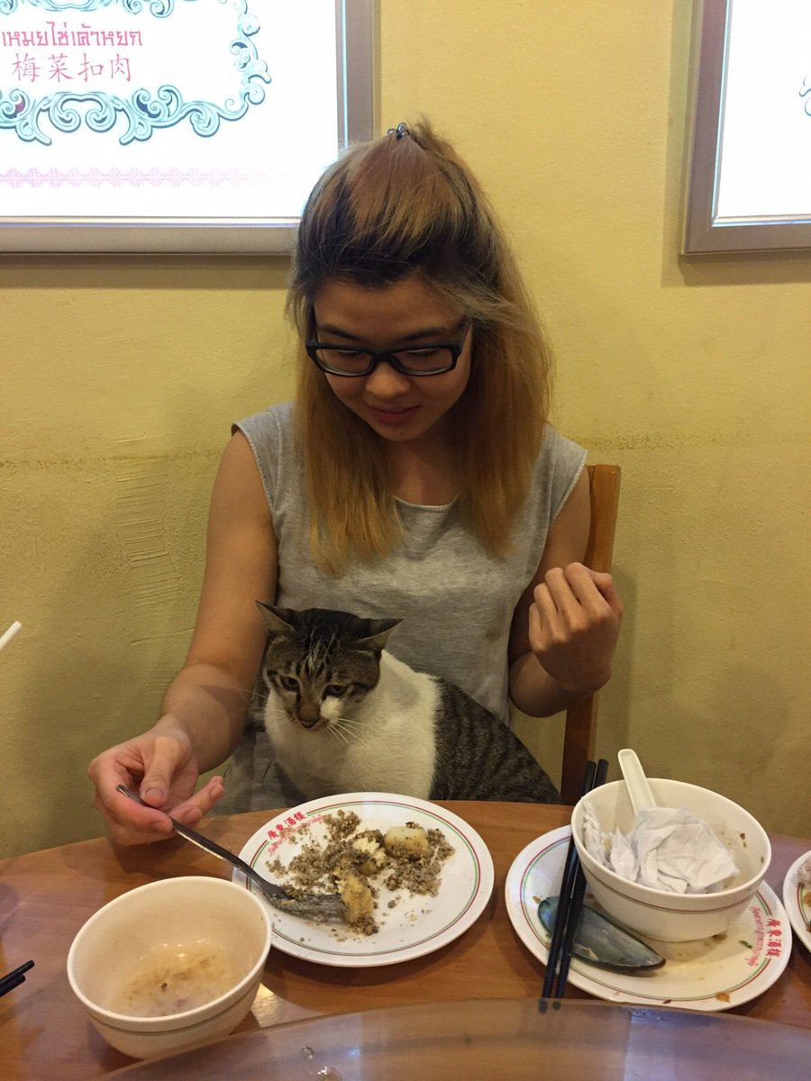 kankancharat's tweet photo. แมวร้านอาหาร อ้อนเสมือนเราเป็นเจ้านาย
น่าร้ากสสสส https://t.co/AjlnyxgZ6L