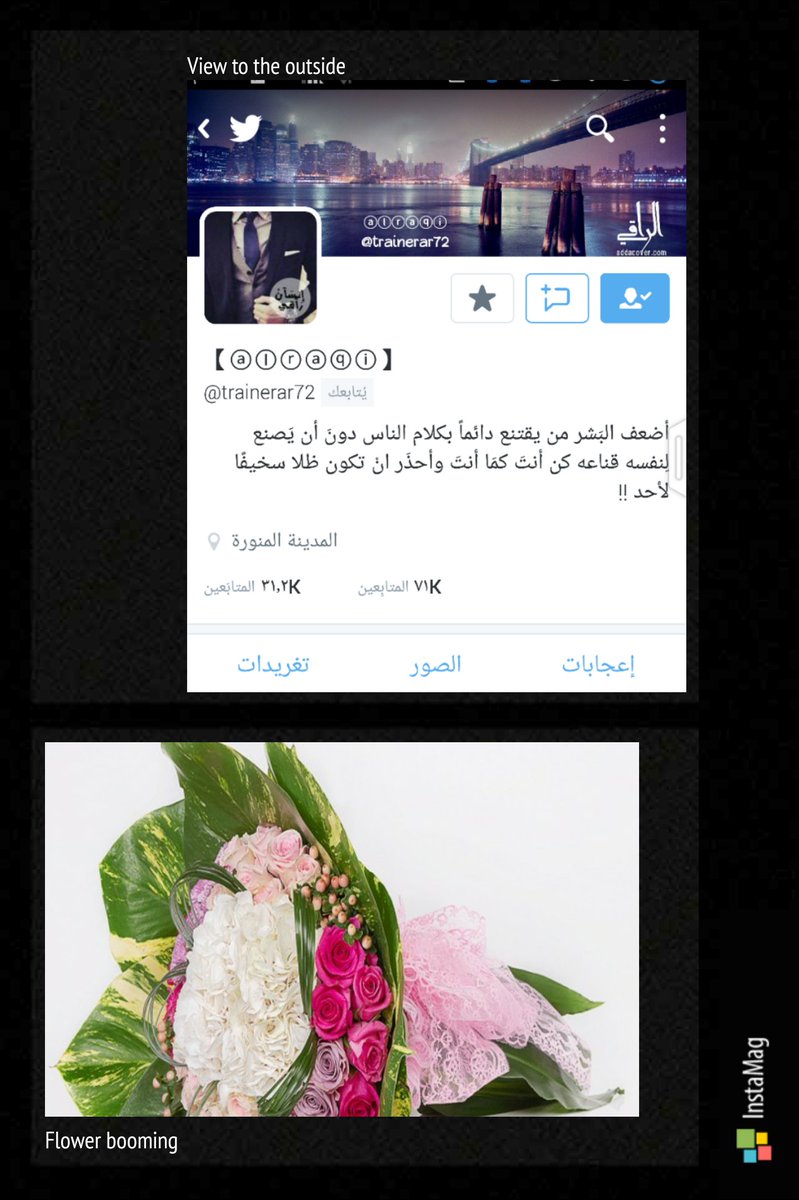 YSieyl's tweet photo. 🌸 #الراقي_71_الف_متابع🌟

🍂ألف مبروك تستاهل كل الخير 🌟
💕#حساب_راقي_يستحق_المتابعة 🌟
🍃🌹🍃🌹🍃👇👇
@trainerar72 https://t.co/lnAhWfHX1T