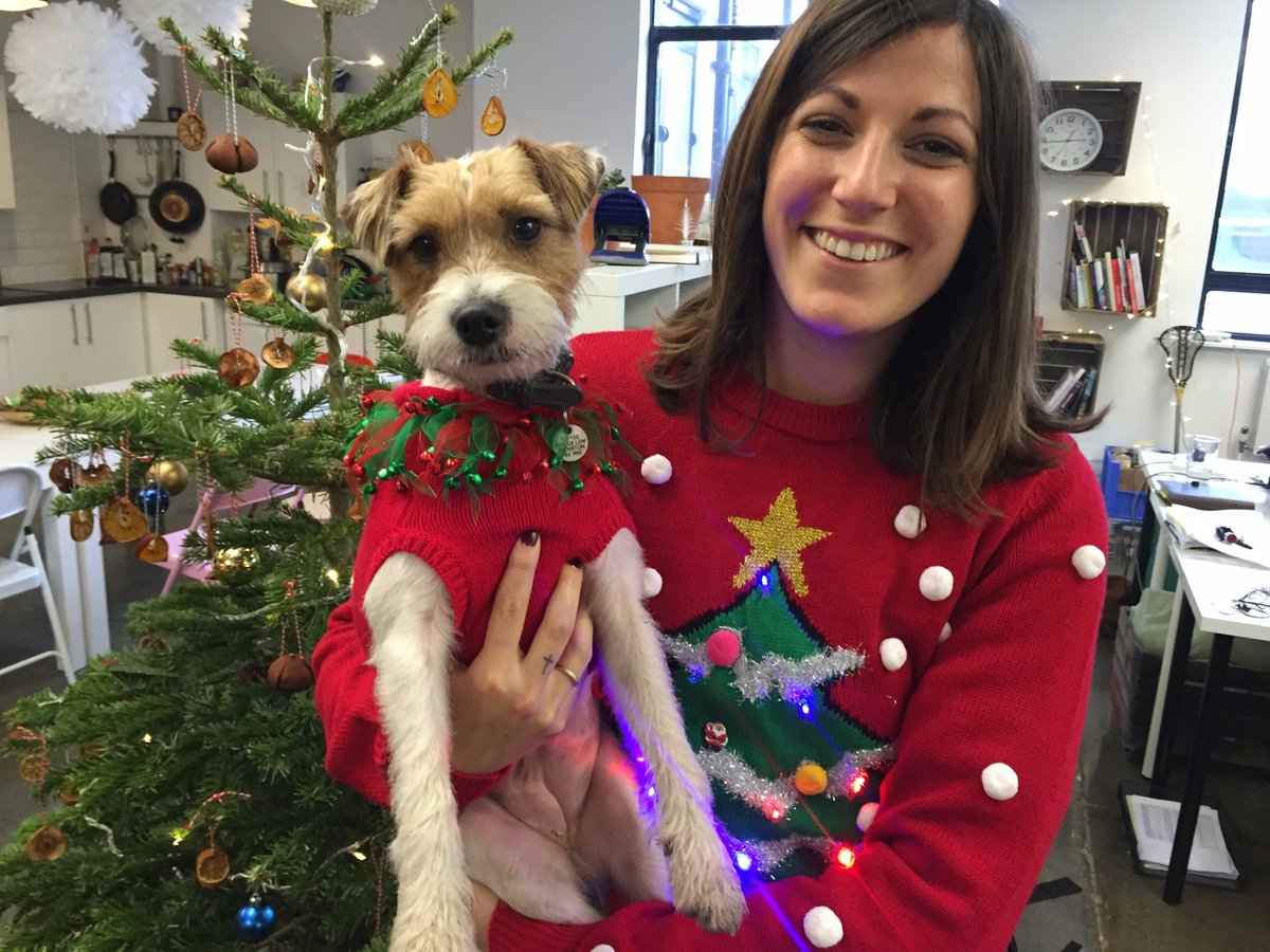 farmdrop's tweet photo. Merchandiser Lori brought Toffee to work - look what happened. We'd love to see your festive pooch snaps! #jumperfun https://t.co/n5vPUkIfGC