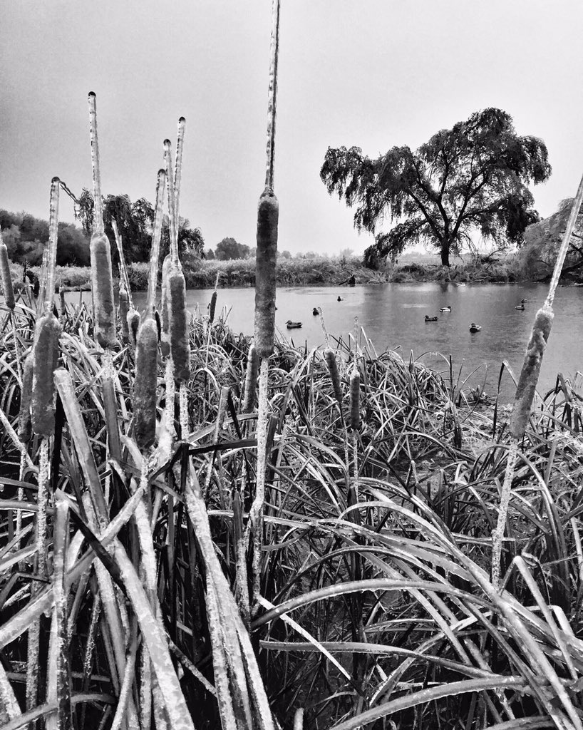 SouthernGP's tweet image. Now this is my kind of Monday morning view!