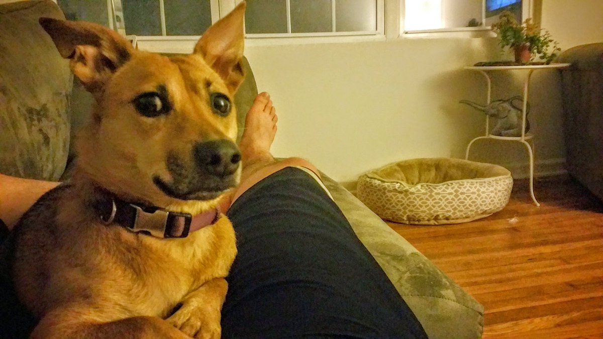 mod_atl's tweet image. Hgggggg