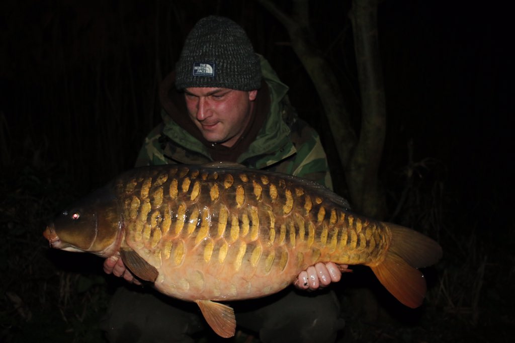 Dave Springall Dave Springall (@dave_springall) / Posts / X