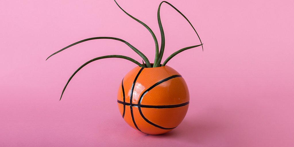 bezar's tweet photo. #howbezar is this ceramic basketball vase from Saint Karen? https://t.co/jFM4pMXb1j https://t.co/WdekJwLaMC