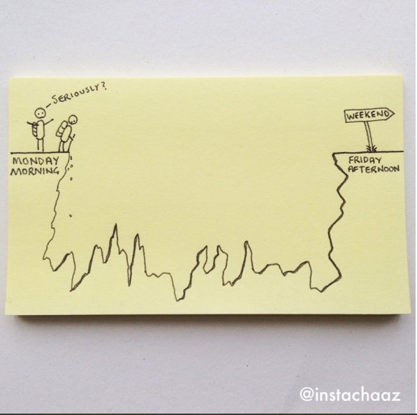 Chaz Hutton tweet media