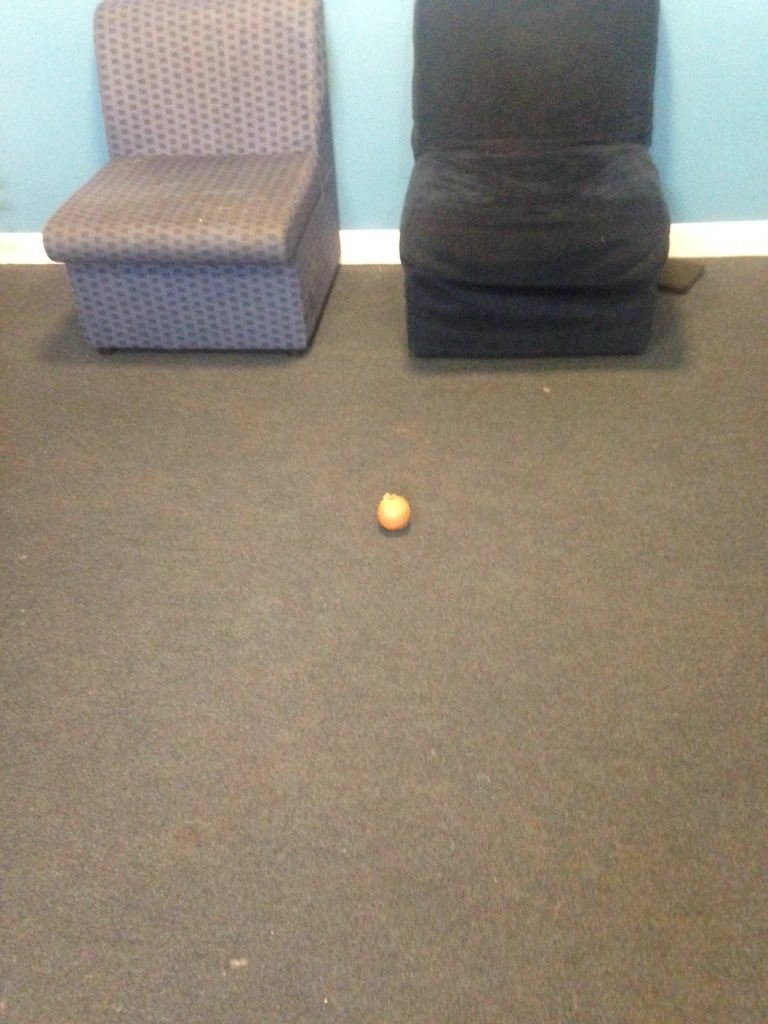 wantrealpockets's tweet photo. Today: my onion buddy https://t.co/TwGlhJvbpK