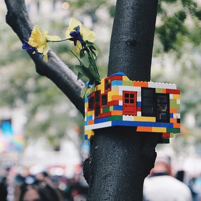 made4maker's tweet photo. İyi geceler! 🐦♥️✌🏻️ https://t.co/ZrwkeOob4X