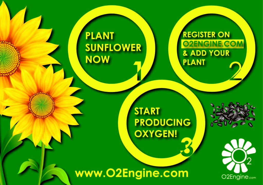 O2Engine #O2Engine tweet media