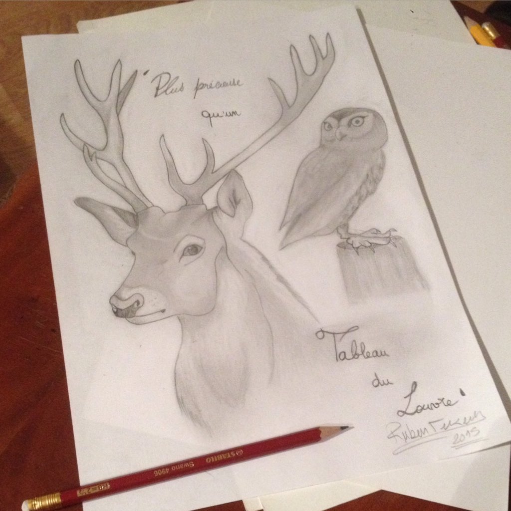RubenWildKoalaa's tweet photo. Quand tu trouve ton inspiration la lâche plus #dessin #draw #deerdraw #owldraw https://t.co/1uNE4EKtMc